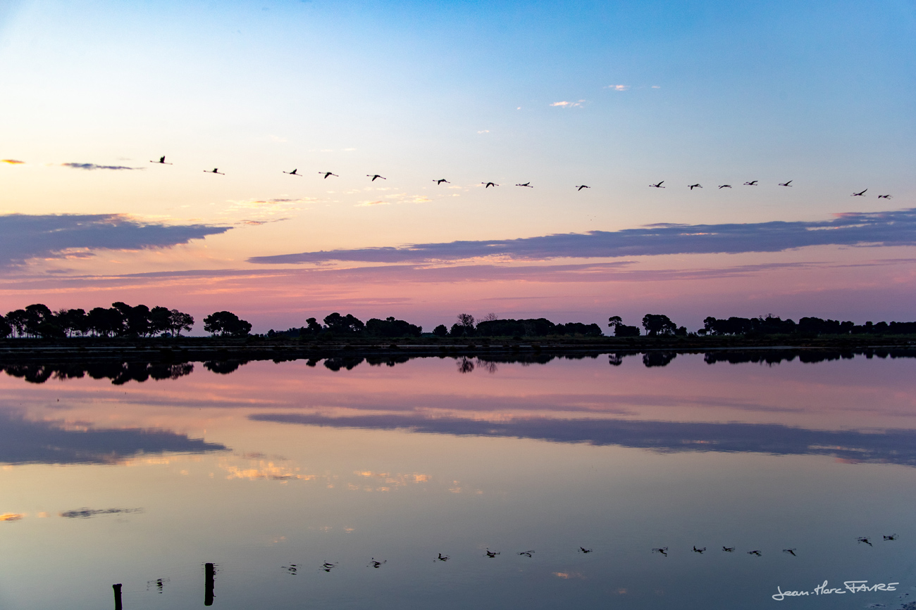 Camargue