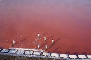 sauniers-groupe-salins